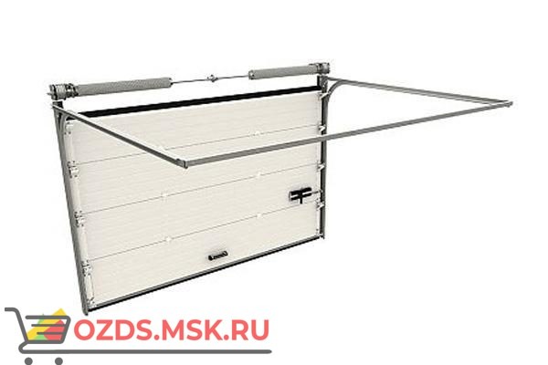 DoorHan RSD02 (4200х2420) с калиткой: Ворота секционные