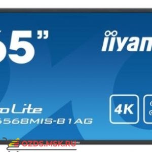 Iiyama TE6568MIS-B1AG: Интерактивная панель