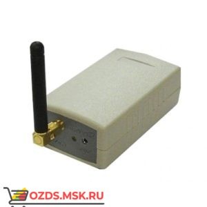 RADS GSM RGM-M12-AR: Модем