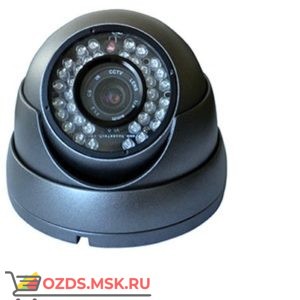 ZM-CAM-HLS01 Видеокамера внутренняя с возможностью циклической записи видео в VGA-качестве со звуком