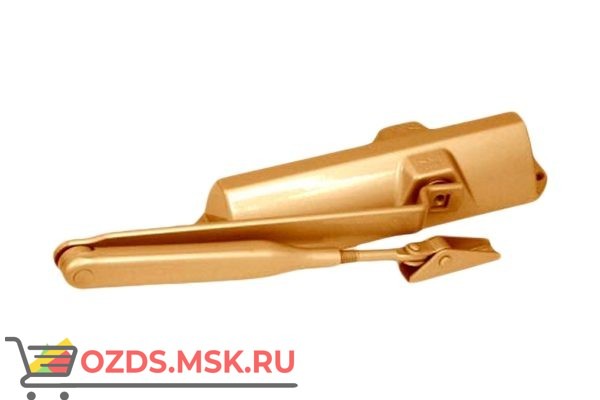 DORMA TS68 Доводчик дверной (золото)