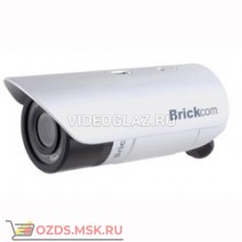 Brickcom OB-100Ae: IP-камера уличная