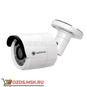 Optimus IP-P002.1(3.6)D: IP-камера уличная