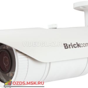 Brickcom OB-300Af-A1-V5: IP-камера уличная