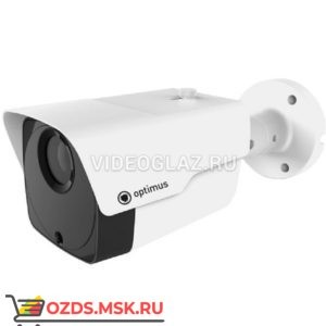 Optimus IP-P013.0(4x)D: IP-камера уличная