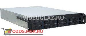 MicroDigital MDR-iVC36-8: IP Видеорегистратор (NVR)