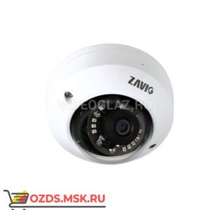 ZAVIO D4520: Купольная IP-камера