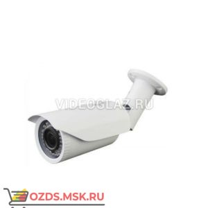 Master MR-IPNV102P2: IP-камера уличная