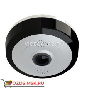 RVi-1ACF210A (1.85): Видеокамера AHDTVICVICVBS