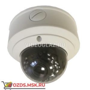 Optimus IP-E042.1(2.8-12)P_H.265: Купольная IP-камера