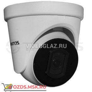 Tantos TSi-Beco25FP (3.6): Купольная IP-камера