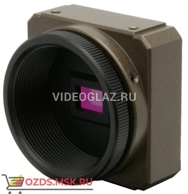 Watec Co., Ltd. WAT-01U2 HD-SDI камера стандартного дизайна