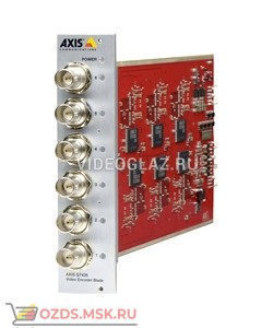 AXIS Q7436 (0584-001): IP-видеосервер