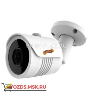 J2000-HDIP5B30P (2,8): IP-камера уличная