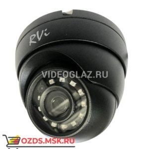 RVi-1NCE2020 (2.8) black: Купольная IP-камера