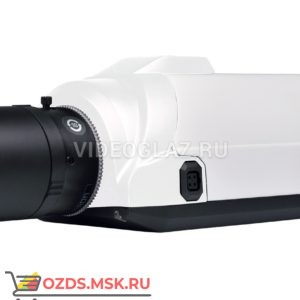 RVi-IPC22: IP-камера стандартного дизайна