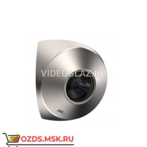 AXIS P9106-V BRUSHED STEEL (01553-001): Купольная IP-камера