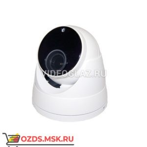 ComOnyX CO-RD53P: Купольная IP-камера