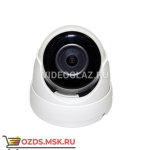 ComOnyX CO-RD51P: Купольная IP-камера