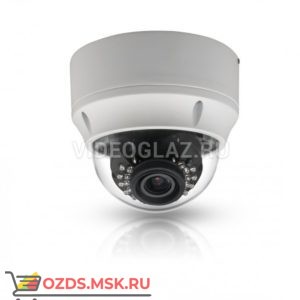 J2000-HDIP4D30Full (2,8-12): Купольная IP-камера