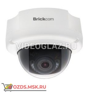 Brickcom FD-200Np-V5: Купольная IP-камера