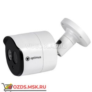 Optimus IP-P012.1(3.6)D_v.1: IP-камера уличная