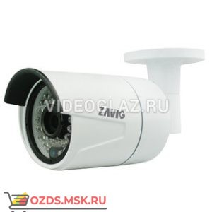 ZAVIO B6210: IP-камера уличная