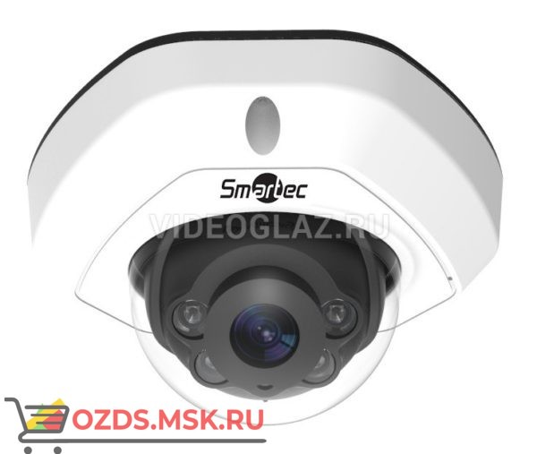 Smartec STC-IPM3408A4 Estima: Купольная IP-камера