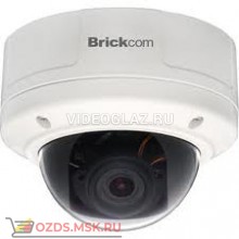 Brickcom VD-302Np: Купольная IP-камера