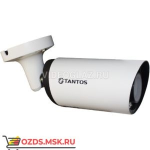Tantos TSi-Pe25VP (2.8-12): IP-камера уличная