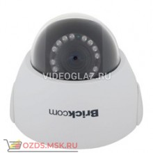 Brickcom FD-100Ae: Купольная IP-камера