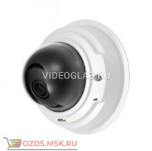 AXIS P3367-V (0406-001): Купольная IP-камера