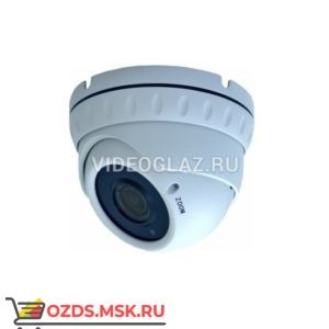 Master MR-IDNM104MP: Купольная IP-камера