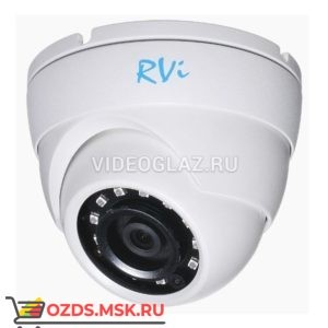 RVI-IPC31VB (4): Купольная IP-камера