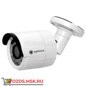 Optimus IP-P008.0(4.5): IP-камера уличная