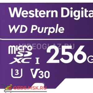 Western Digital WDD256G1P0A: Карта памяти