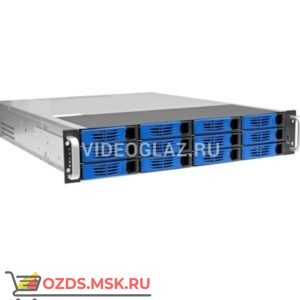 Domination IP-32P-12-HS: IP Видеорегистратор (NVR)