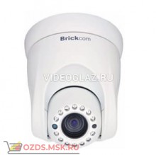 Brickcom PZ-040E Поворотная IP-камера