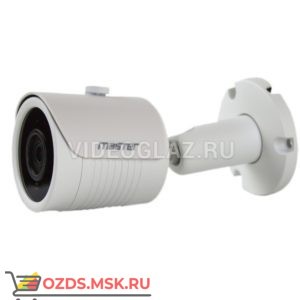 Master MR-IPN102P: IP-камера уличная