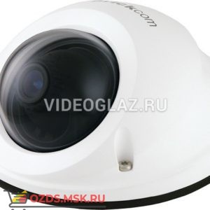 Brickcom VD-300Af-A4: Купольная IP-камера
